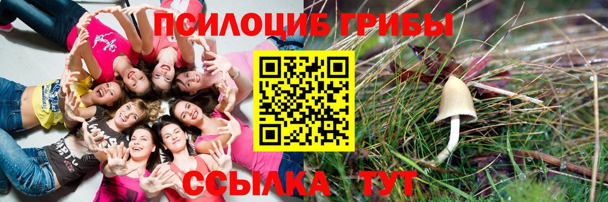 Псилоцибиновые грибы Magic Shrooms  Вход с VPN  Альметьевск 